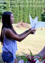 white dove hand release