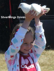 british columbia doves