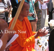 georgia dove release